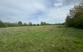 TEREN INTRAVILAN, 7472 MP, VALEA MARE PRAVAT, ARGES - Poză 11