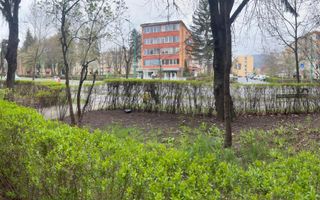 Spatiu comercial, zona Gemenii- Saturn - Poză 8