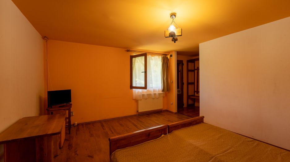 Domeniu în satul Căprioara - Poză 44