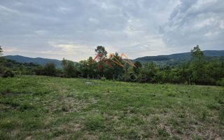 Teren Intravilan, utilitati in zona, 2600 mp, Draganeasa, Prahova - Poză 5