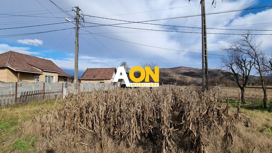 De vanzare 1929mp teren intravilan cu utilitati, Sard - Poză 2