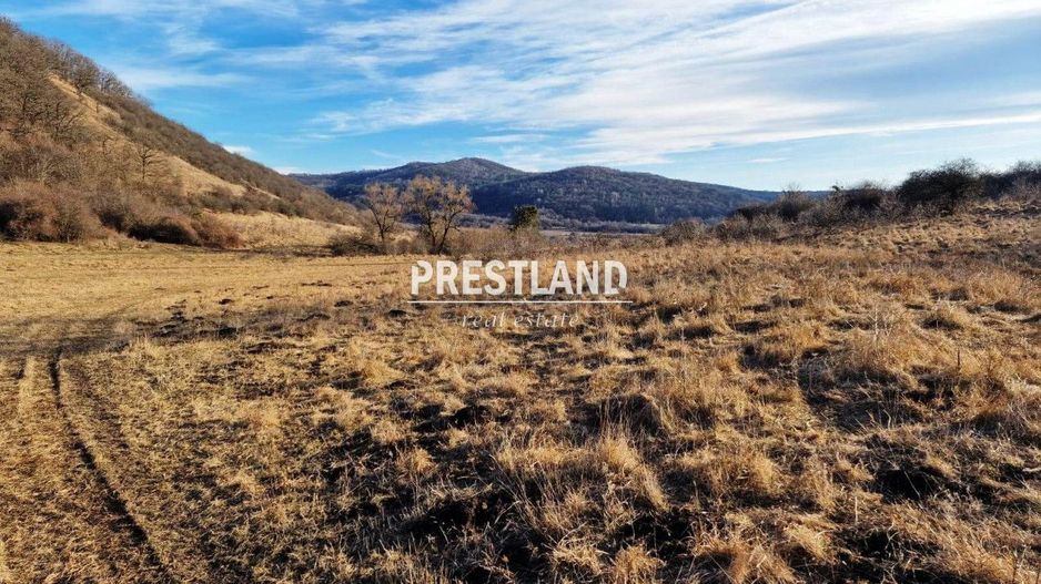 Teren 46.300 mp-zona Gușterița!! - Poză 3