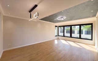 Proiect modern Dumbravita - Poză 2