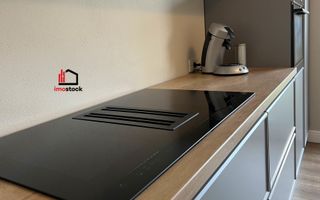 Vila superba Dumbravita - Poză 15