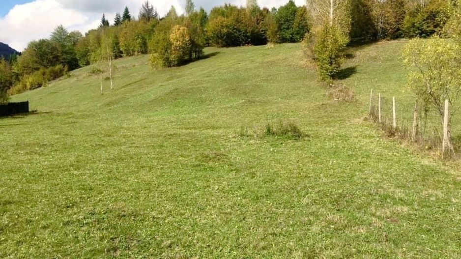 De vânzare teren intravilan Gresu/VN - Poză 4