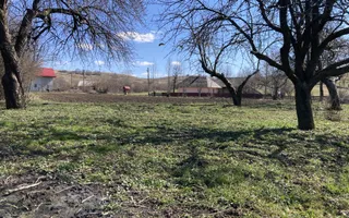 Teren Intravilan 3200 mp de vânzare - Poză 13