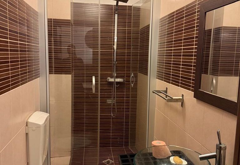 Vanzare Apartament cu gradina proprie | 3 CAMERE | SECTOR 1 – DAMAROAIA - Poză 7