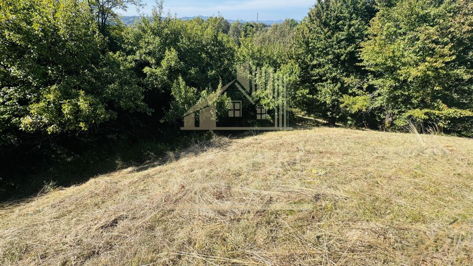 TEREN INTRAVILAN 3234 MP LEREȘTI VOINEȘTI ARGEȘ - Poză 16