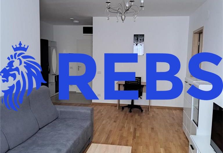 Apartament de lux 2 camere zona Take Ionescu (ISHO) - Poză 2