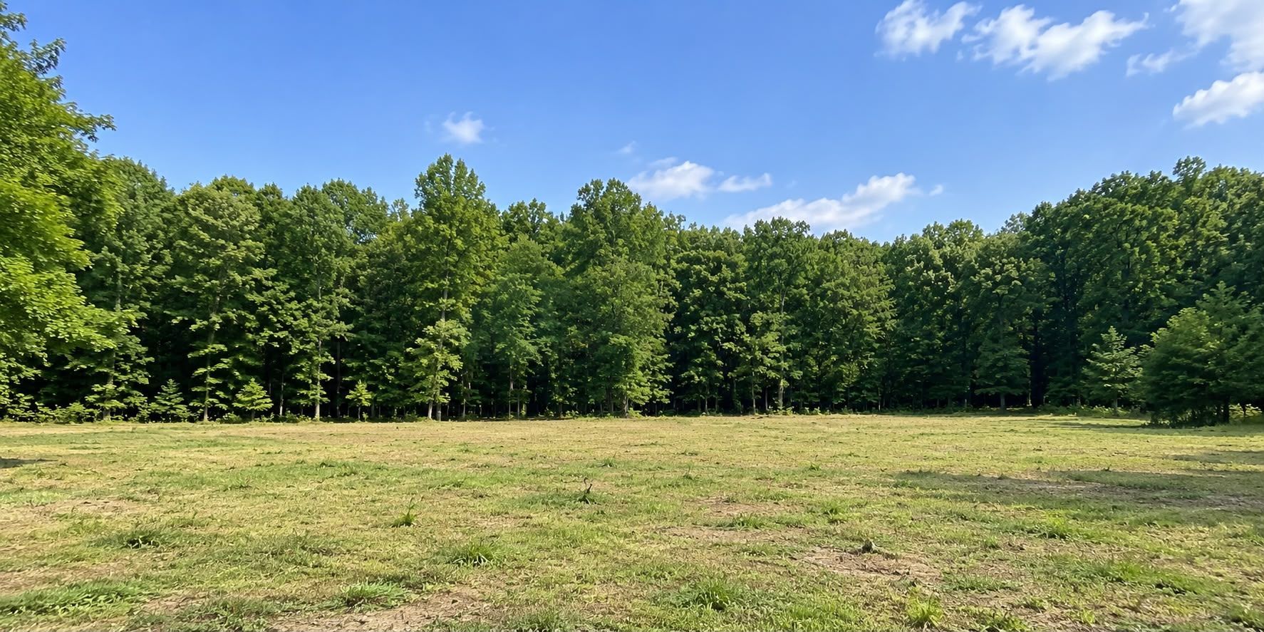 TEREN PREMIUM DE VÂNZARE | TUNARI – PRIMA LINIE LA PĂDURE - Poză 4