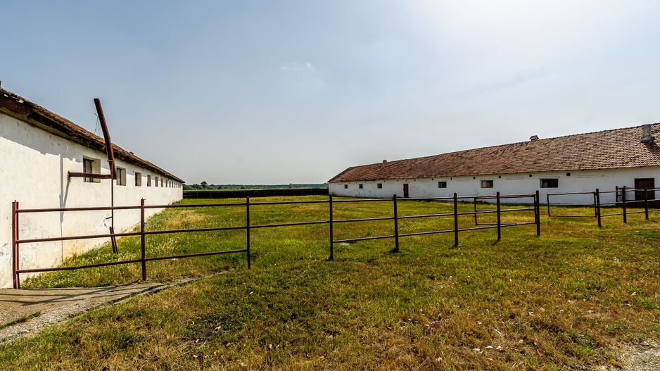 Fermă Mândruloc 2,5 ha - Poză 8