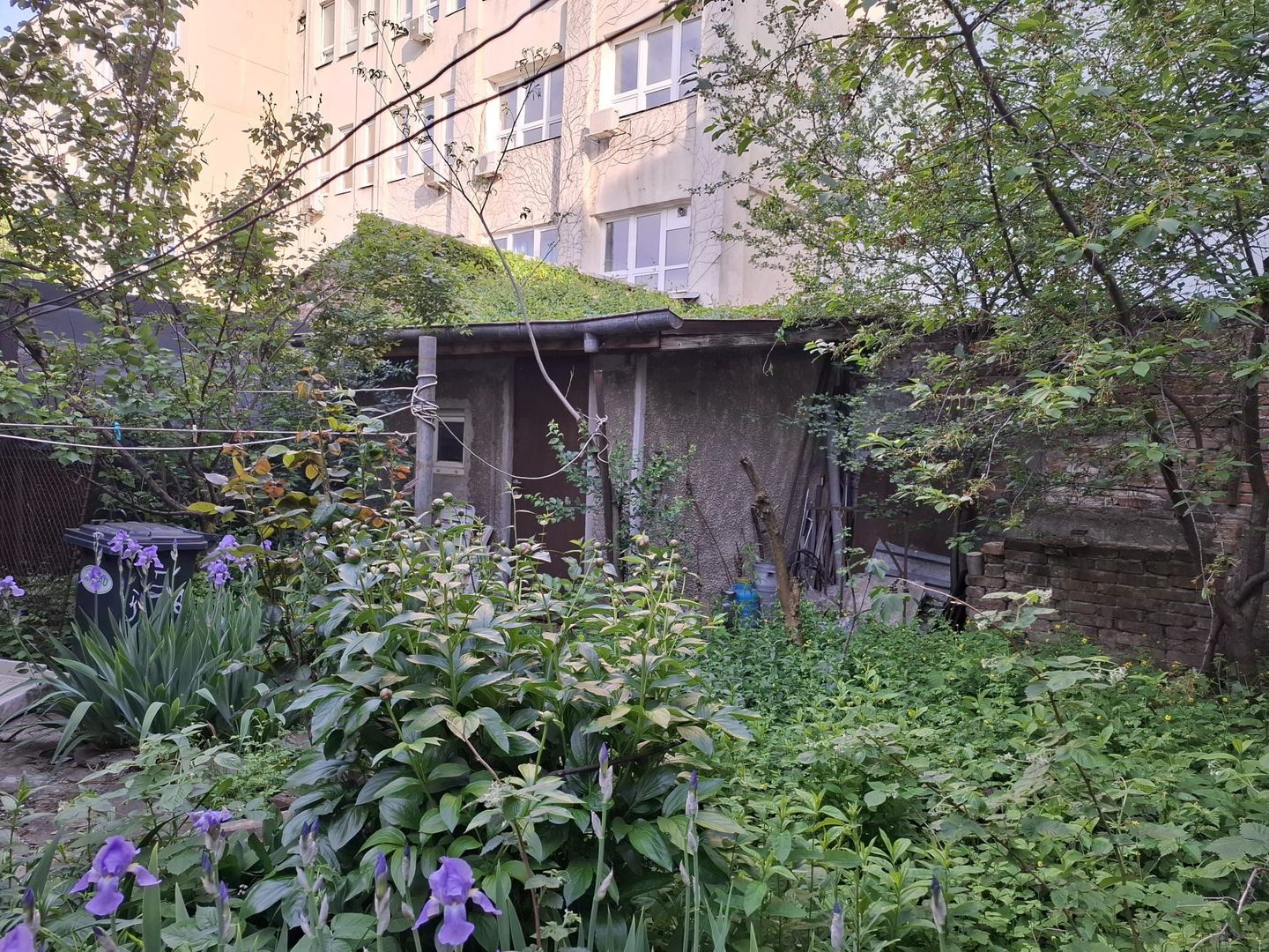 URGENT!, JUMATATE DE VILA,  TEREN IN PROPRIETATE, NEGOCIABIL - Poză 2