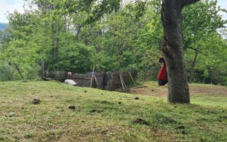 Urgent Teren și Casă Bătrânească - Poză 4