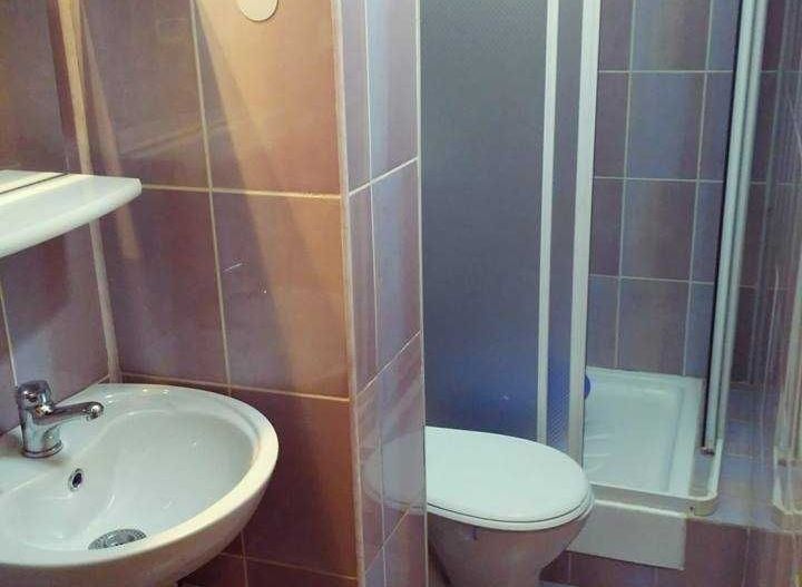 Apartament de 3 camere, de inchiriat, Rahova - Poză 7