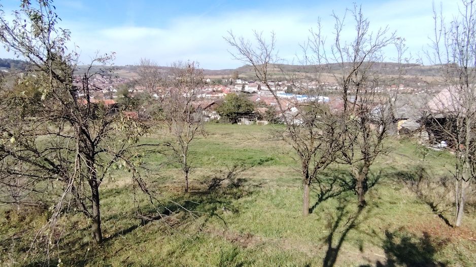 Teren intravilan 3.798 mp în Agnita, cu posibilitate de parcelare - Poză 7