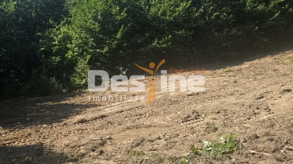 Teren Valea Doftanei,  zona Pe Vale - Baraj Paltinu - Poză 8