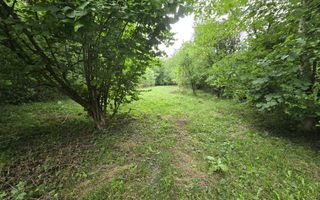 Teren intravilan de vânzare în Cornu de Sus – 1.363 mp fara inclinatie - Poză 4
