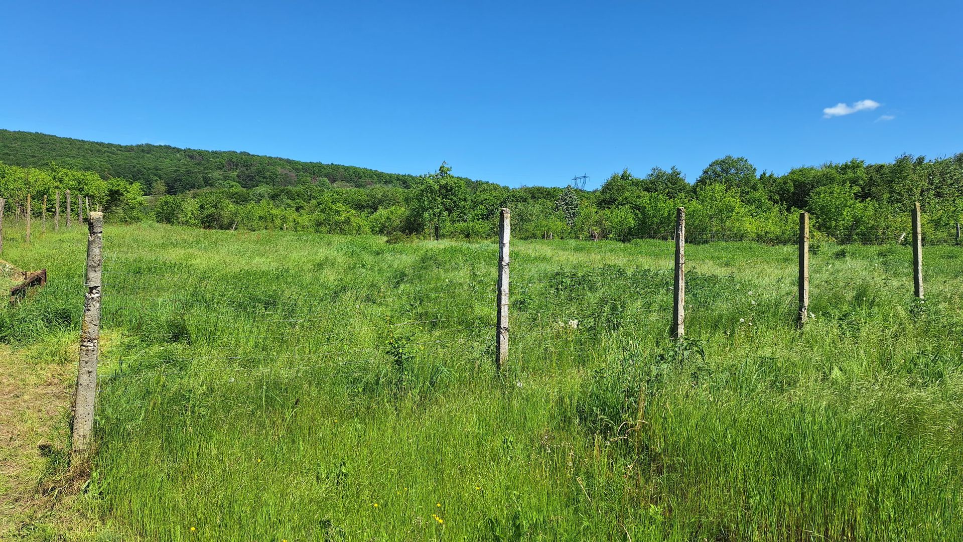Casa de Vanzare Baiculesti Arges - Poză 15