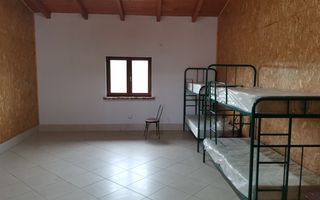 Ferma pomicola cu teren livada 270 ha - Timis - Poză 18