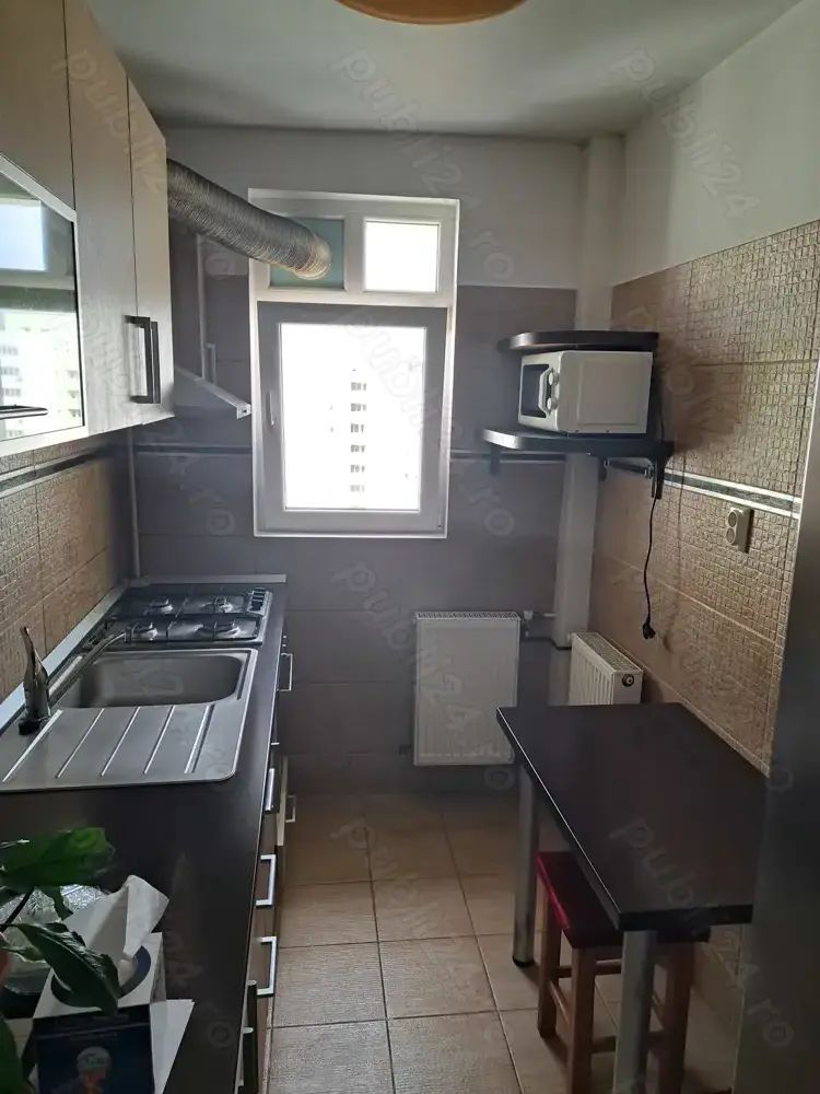 Apartament Fabrica de Gheata/Lacul Plumbuita - Poză 6