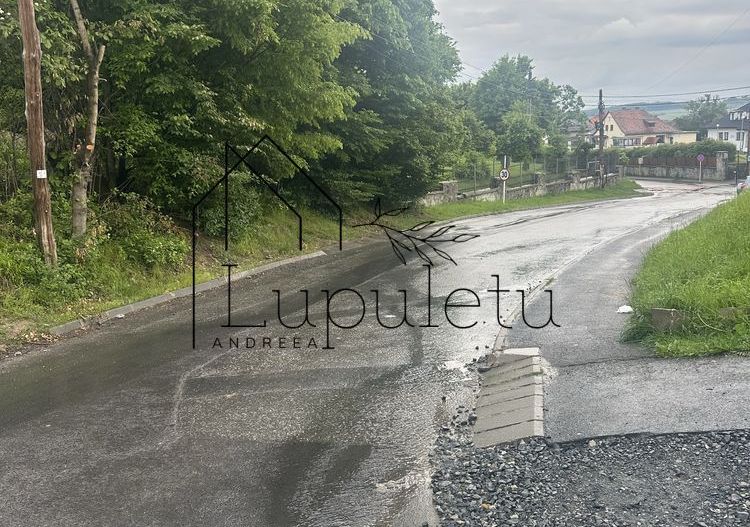 Teren Intravilan de Vânzare |  500 MPU | Ultracentral Cisnădie - Poză 5