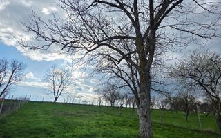 Casa individuala I Curte I Teren 1700 mp I Rosia - Poză 48