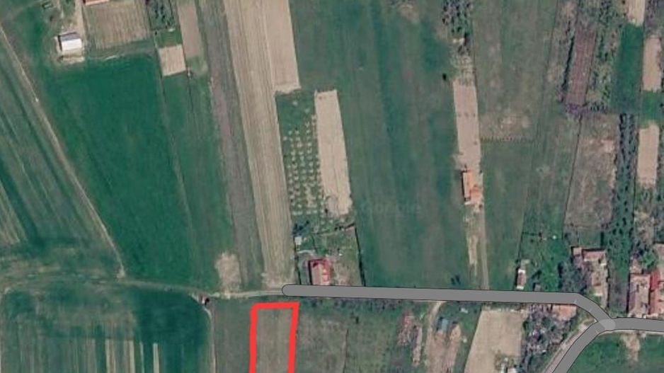 Teren Intravilan Sacadat 2000 mp - Poză 1