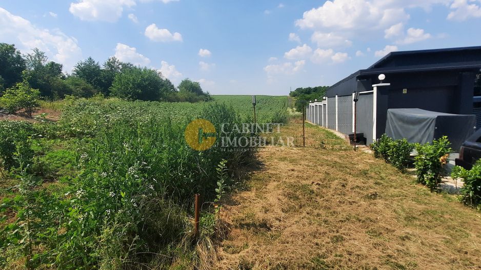 🏡TEREN INTRAVILAN 1000 MP  REDIU - Pozitie excelentă ! 🏡 - Poză 3
