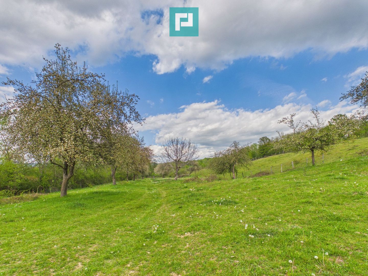 Casă cu teren de 17.681 mp, în loc. Hălmăgel, Arad - Poză 13