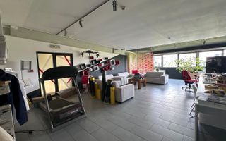 Hala depozitare /productie,Timisoara, NV - Poză 4