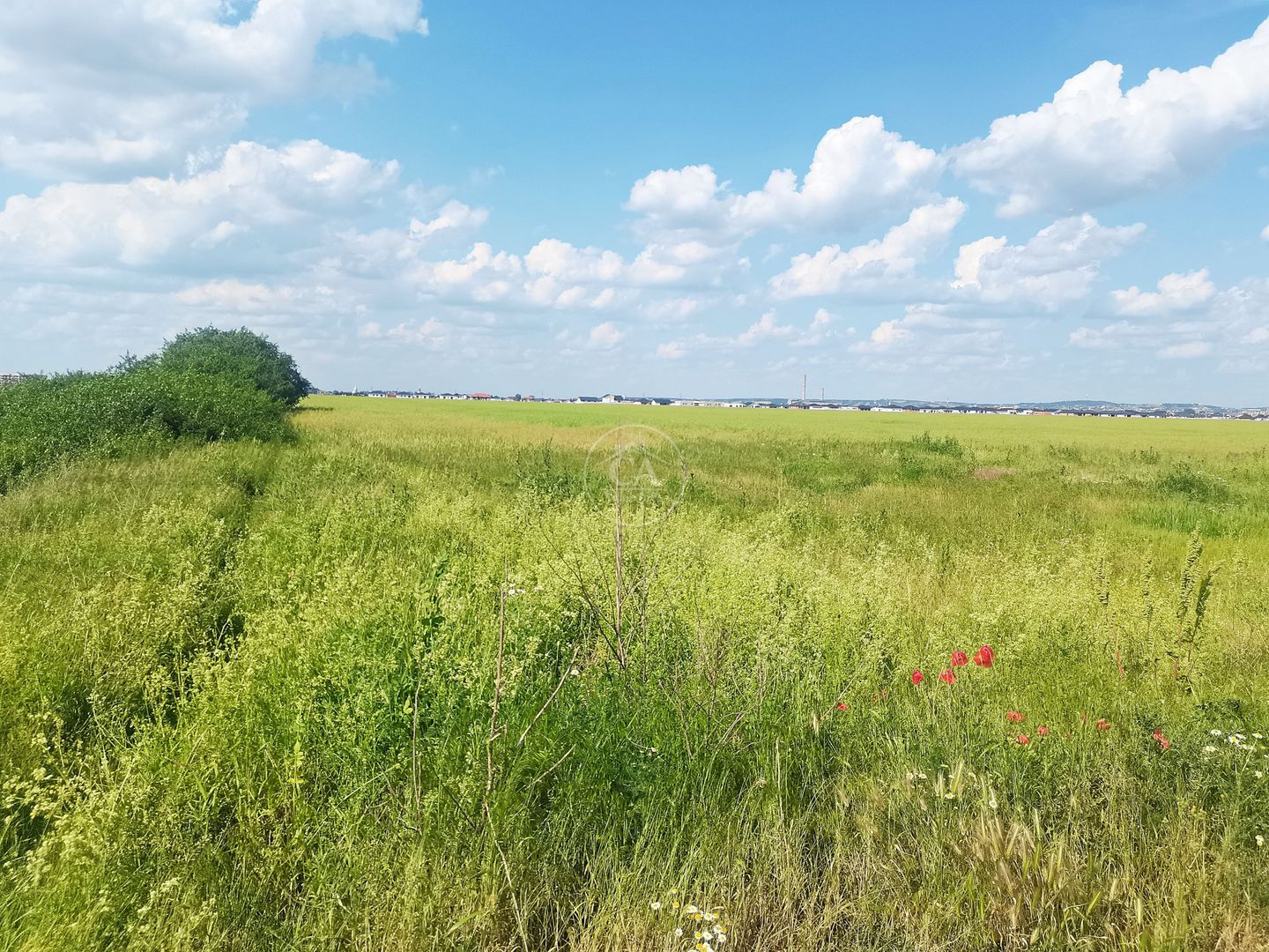 Teren intravilan de vânzare in Santandrei, Bihor - Poză 2