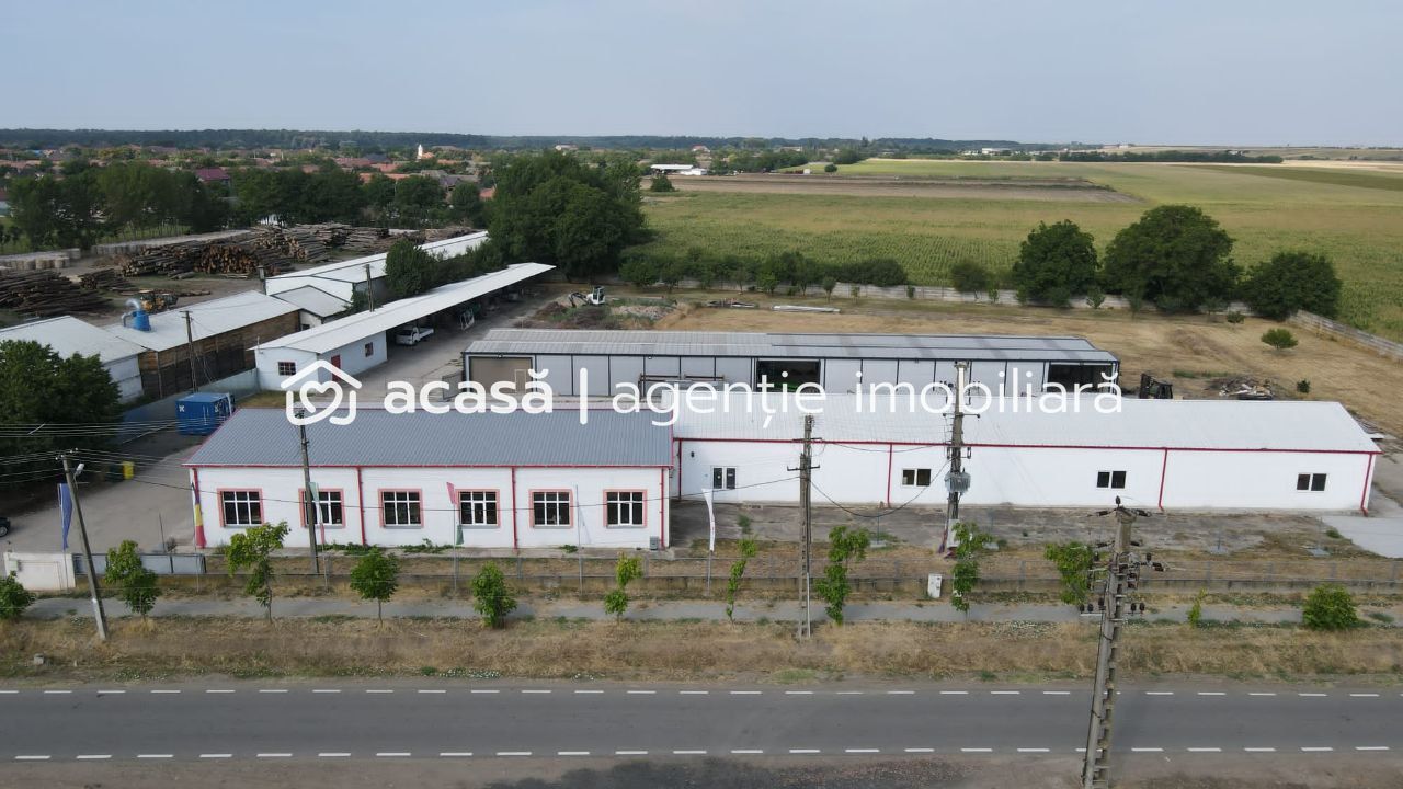 Hale depozitare/producție 2.000 mp si 10.000 mp teren în Pecica - Poză 1