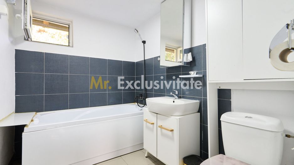 Doua CASE in aceeasi curte–BABANA, ARGEȘ | 1.485 MP TEREN - Poză 9