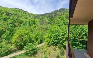 Apartament 2 camere mobilat/utilat - zona Racadau / Tampa Gardens - Poză 9