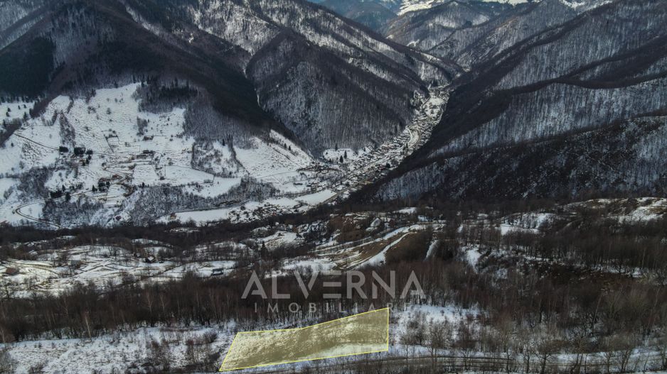 Teren constructii 4150mp, sat Plopi, Valea Ierii - Poză 2