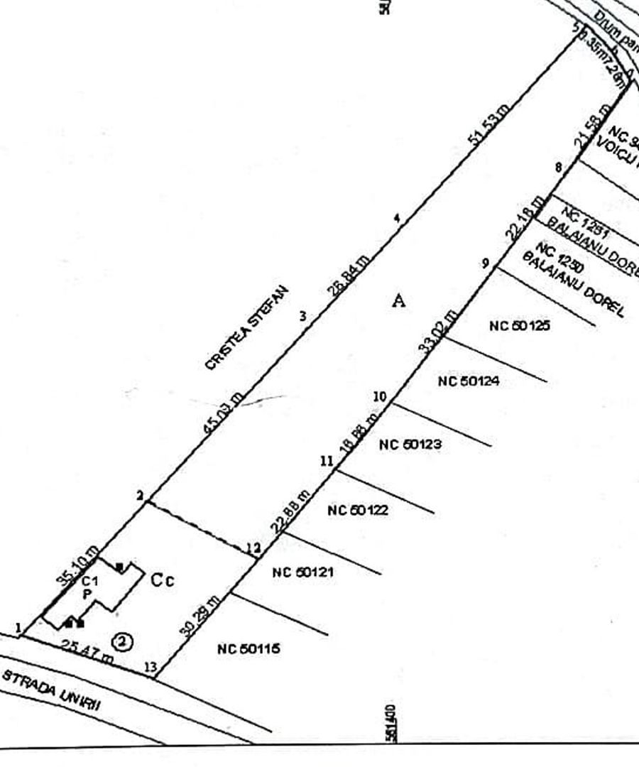Teren Magurele 1.450mp - Poză 3