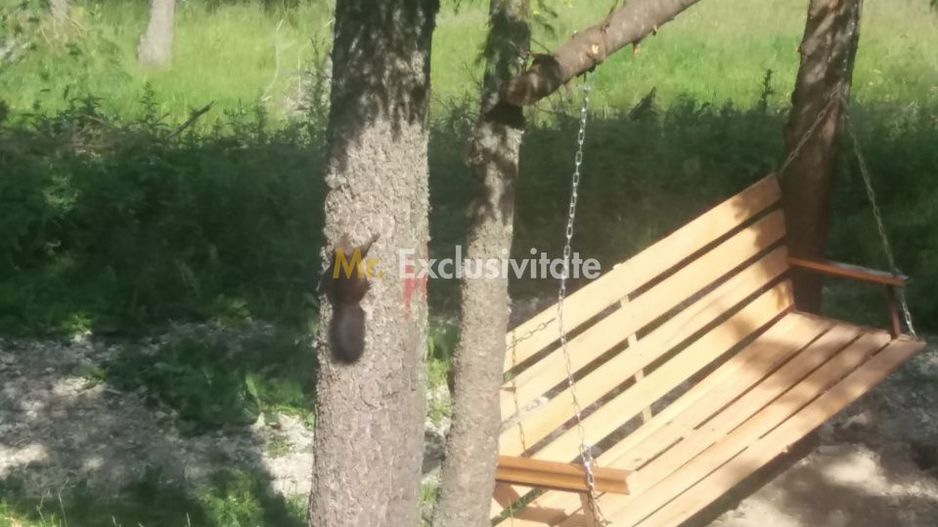 Cabană în Rânca cu 500 mp teren și panoramă impresionantă - Poză 8