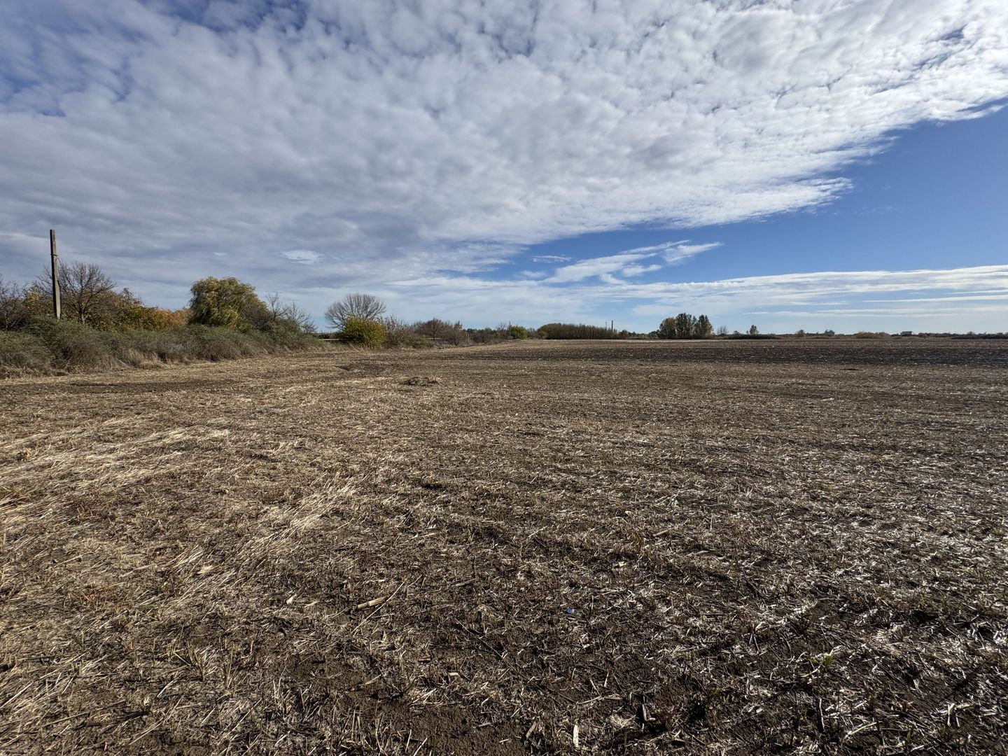 Vand Teren Extravilan Biled(zona industriala) 25.000mp,F.S la DN6 - Poză 5