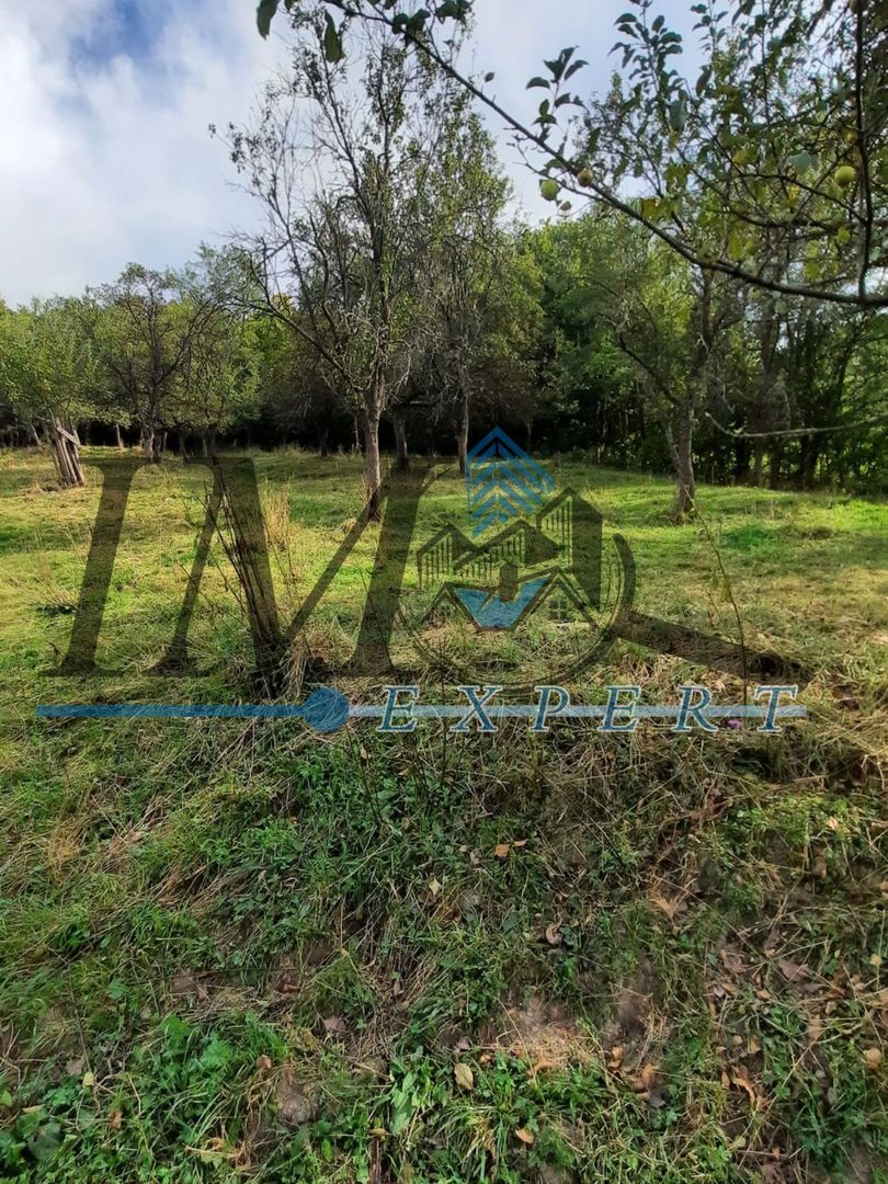 Casa de vanzare Cib jub Alba - Poză 4