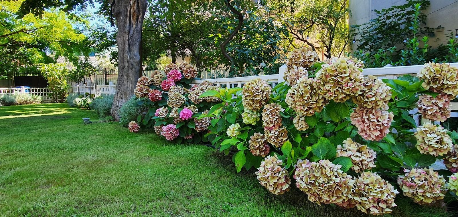 BIJUTERIE ISTORICĂ  SI RAR DE VANZARE in zona ARMENEASCA - Poză 3