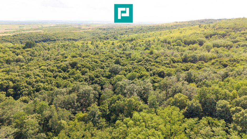 TEREN AGRICOL EXTRAVILAN  22.900 MP LIPOVA - Poză 11