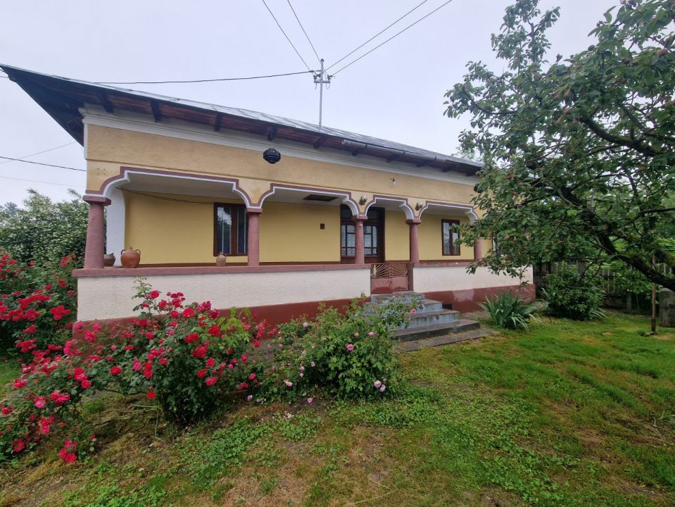 Gospodărie completă și spațioasă -Lunca Corbului- Ciesti! - Poză 3