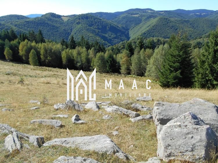 Teren Extravilan | 19.593 MP | Zona Saliste - Poză 3