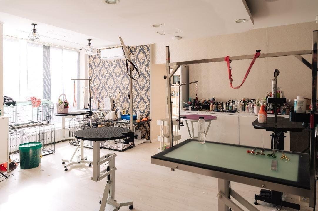 SPAŢIU VERSATIL DE VÂNZARE / ÎNCHIRIERE 211mp. Sect3. - Poză 9