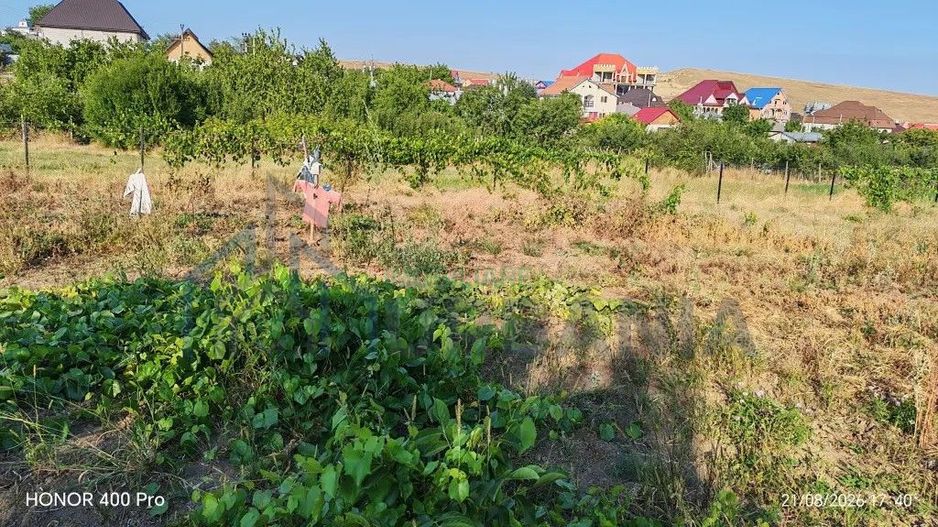 Teren de vânzare în Dealul Viilor, Hârlău – 2.100 mp, gard complet, pomi fructiferi - Poză 6