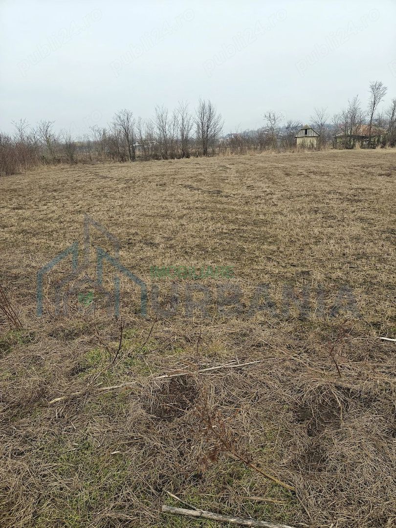 Teren intravilan de vanzare, 3160 mp, strada Garii, sat Hodora, comuna Cotnari - Poză 4