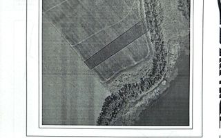 Teren Ciurbești Comuna Miroslava - Poză 4