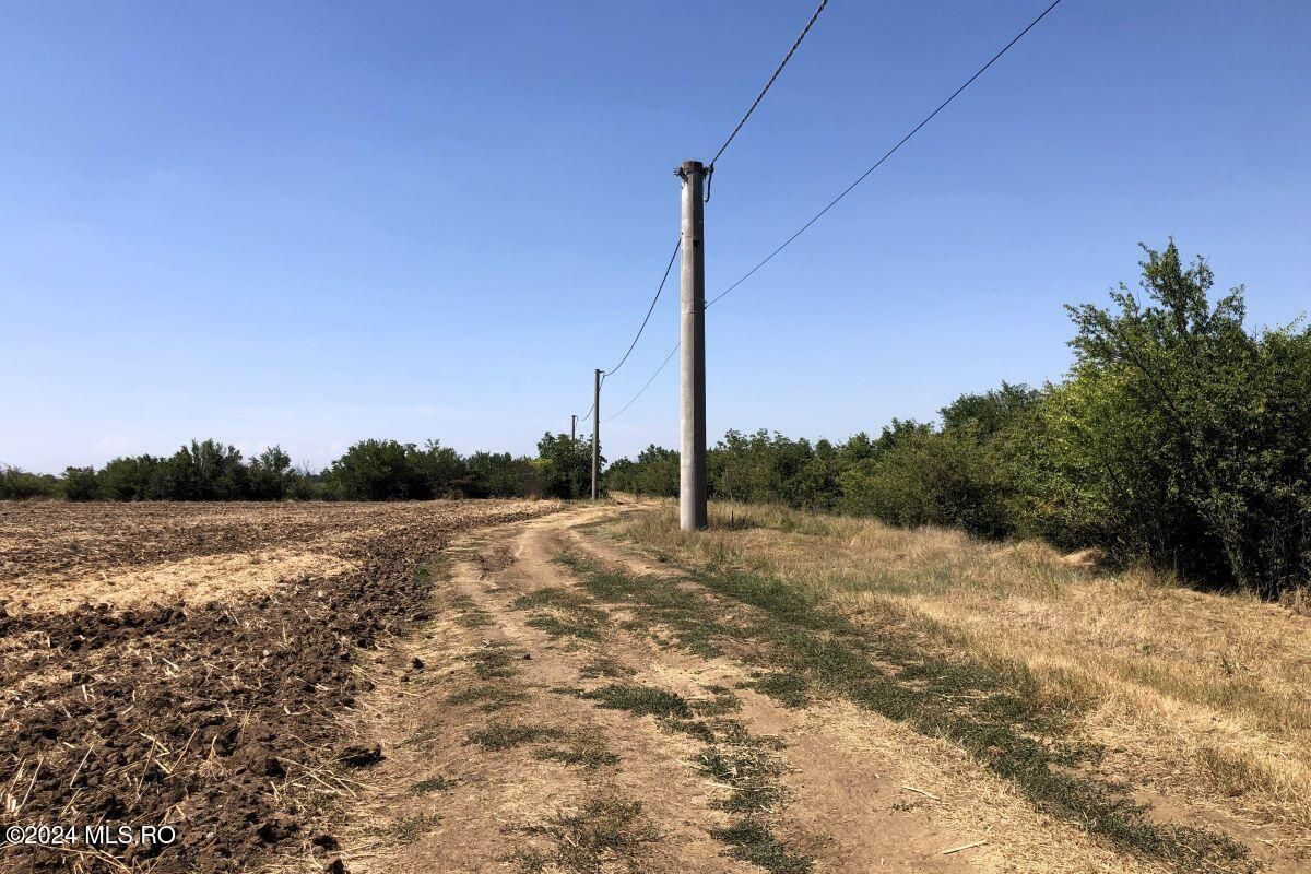 Moara Vlasiei - langa Padurea Biglaru, 11.884 mp, deschidere 40 ml - Poză 2