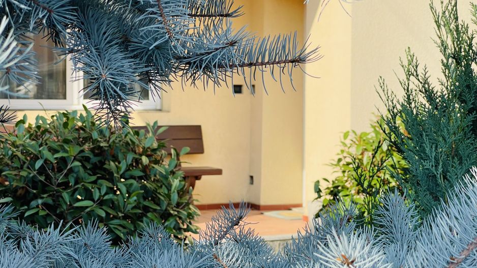 INCHIRIATA - Casa individuala cu 4 dormitoare, 184 mp | Garaj & Gradina | Fropin - Poză 15