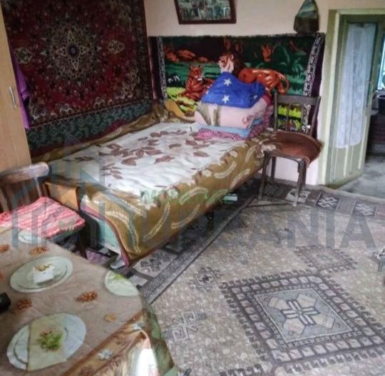 Casă de vânzare în satul Mânjești, comuna Mogoșești, județul Iași - Poză 2